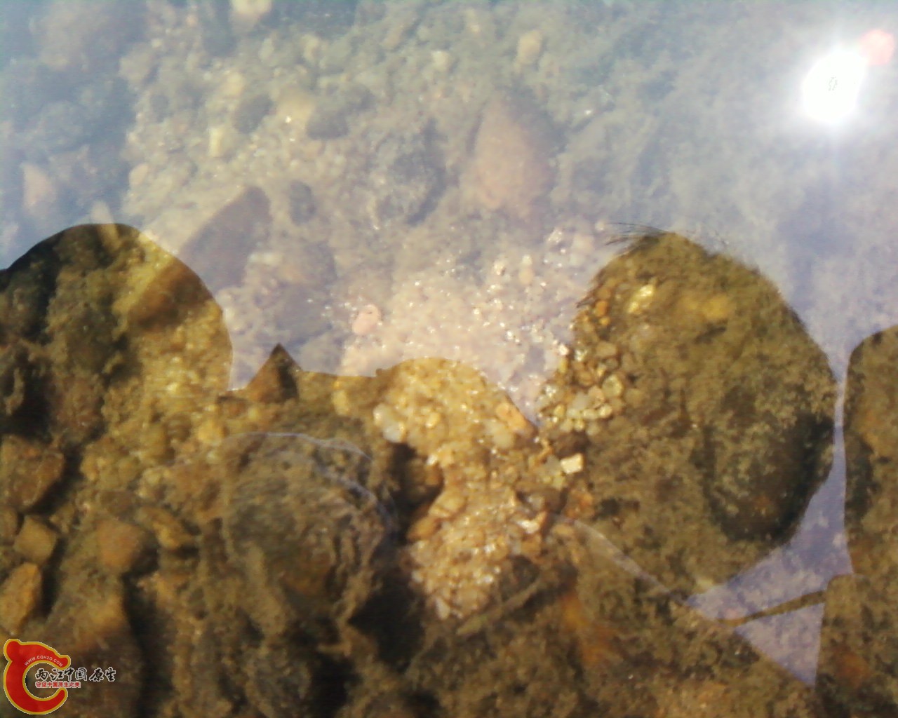 小白脸的家在灰色背景下，那是相当显眼啊