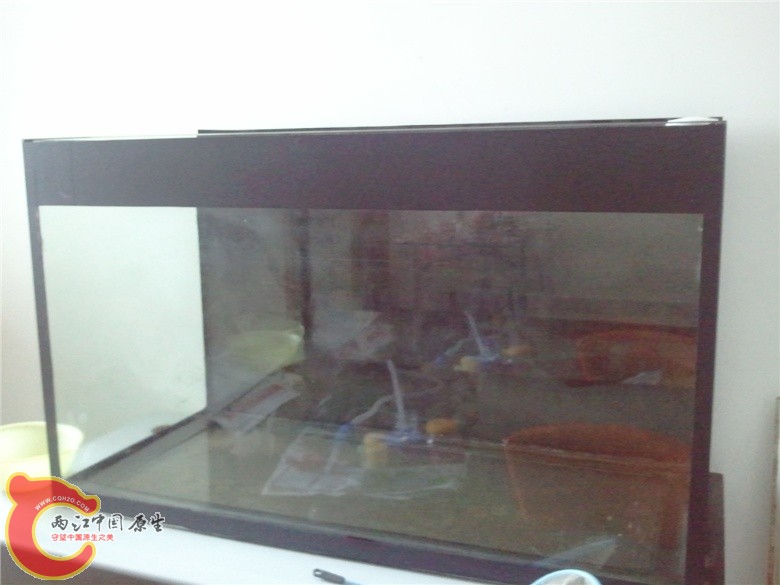 2011-04-16 11.12.42_副本.jpg