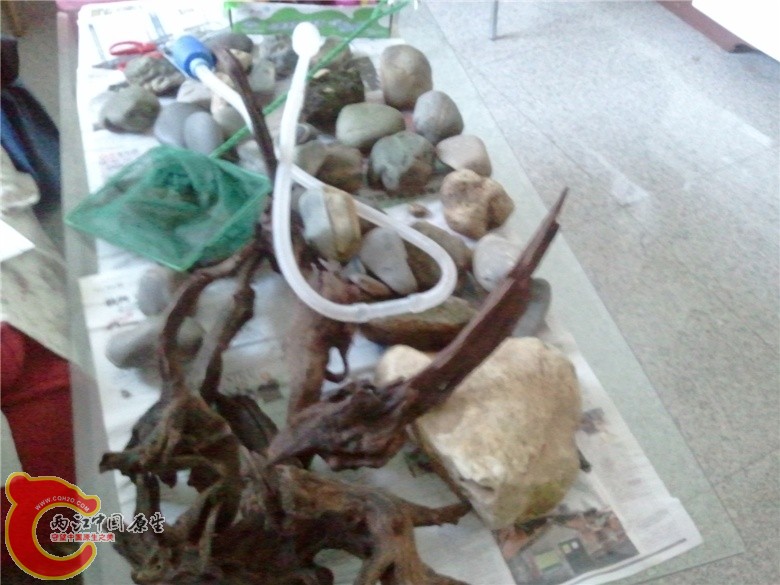 2011-04-16 11.12.56_副本.jpg