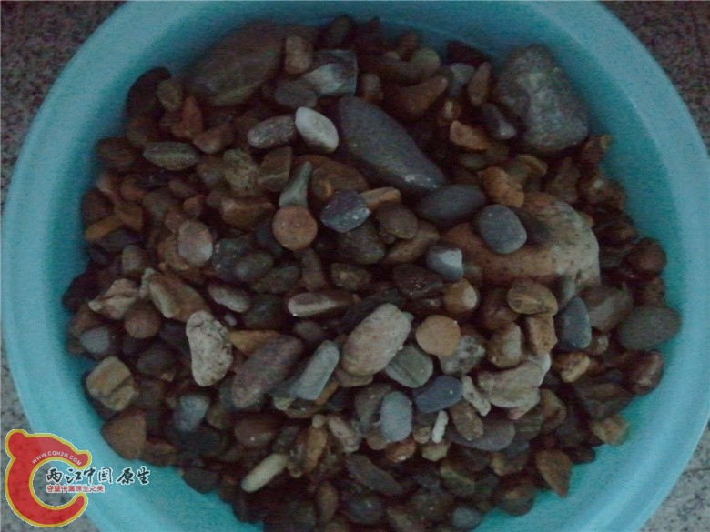 2011-04-16 11.13.03_副本.jpg