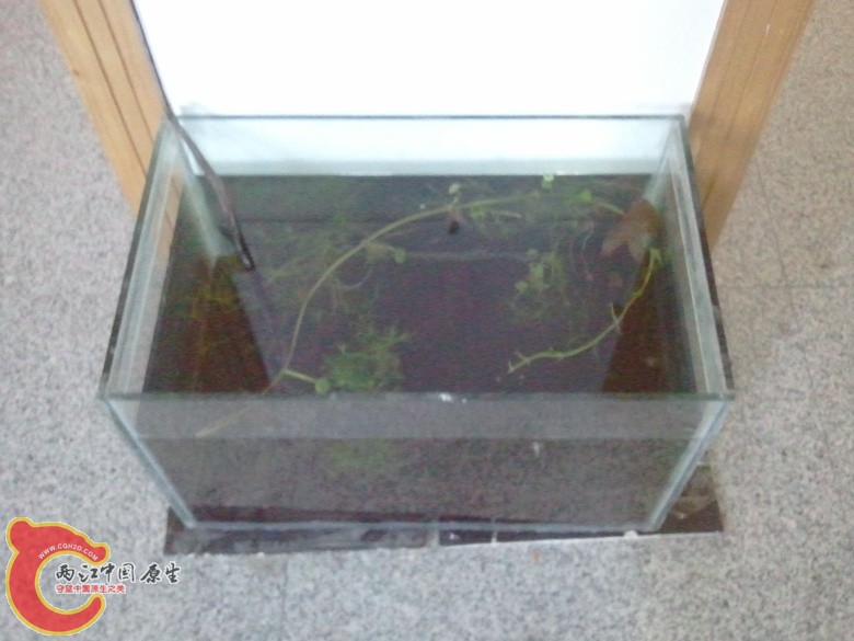 2011-04-16 11.13.09_副本.jpg