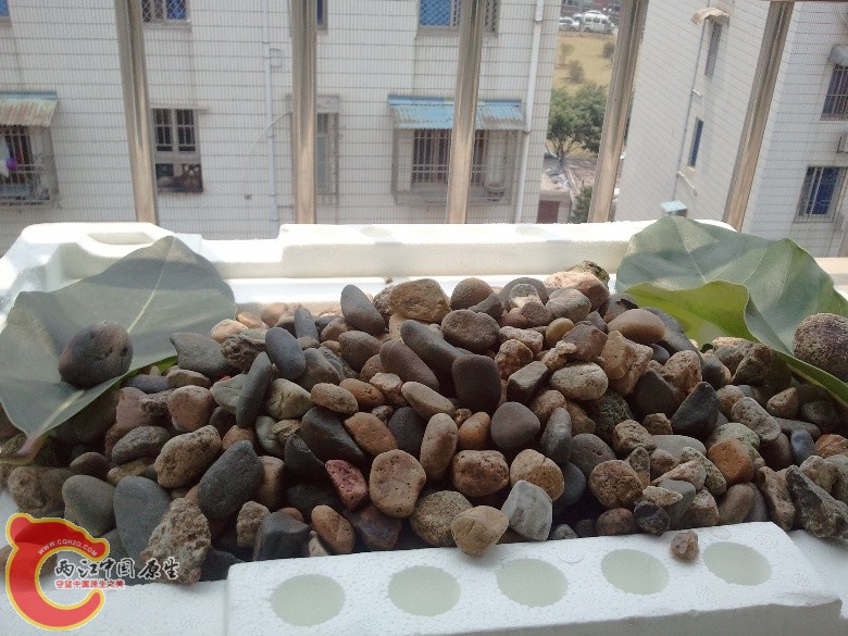 2011-04-16 11.13.26_副本.jpg