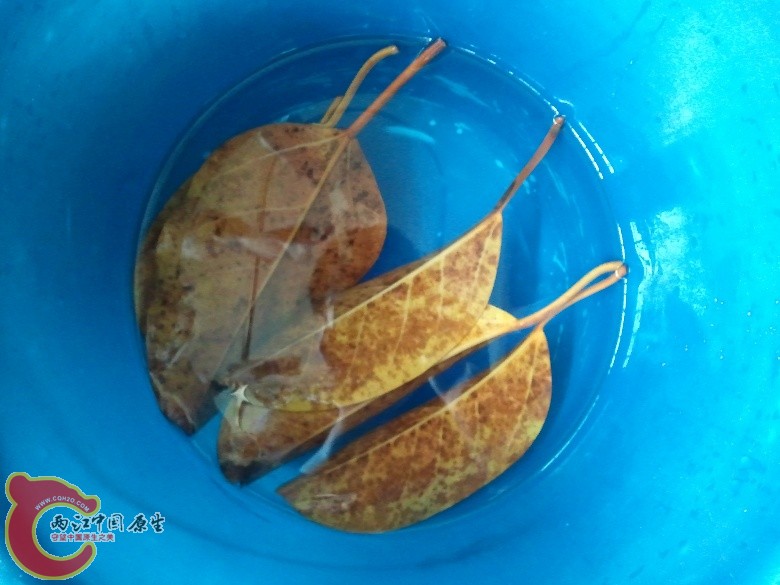 2011-04-16 11.13.32_副本.jpg