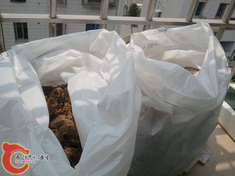 2011-04-16 11.13.41_副本.jpg