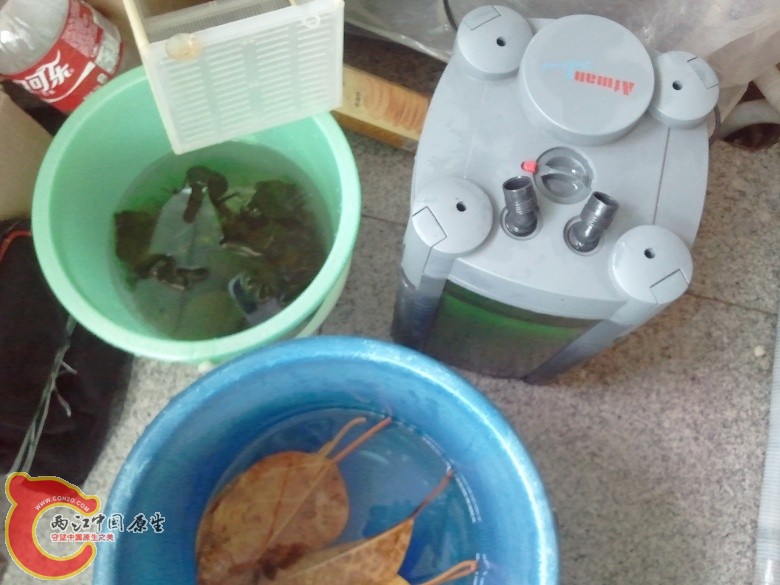 2011-04-16 11.14.04_副本.jpg