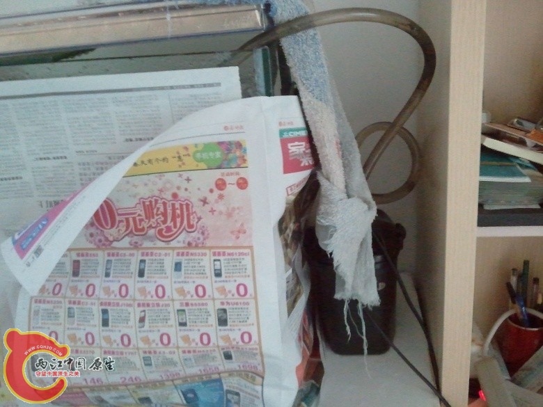 2011-04-16 11.14.10_副本.jpg