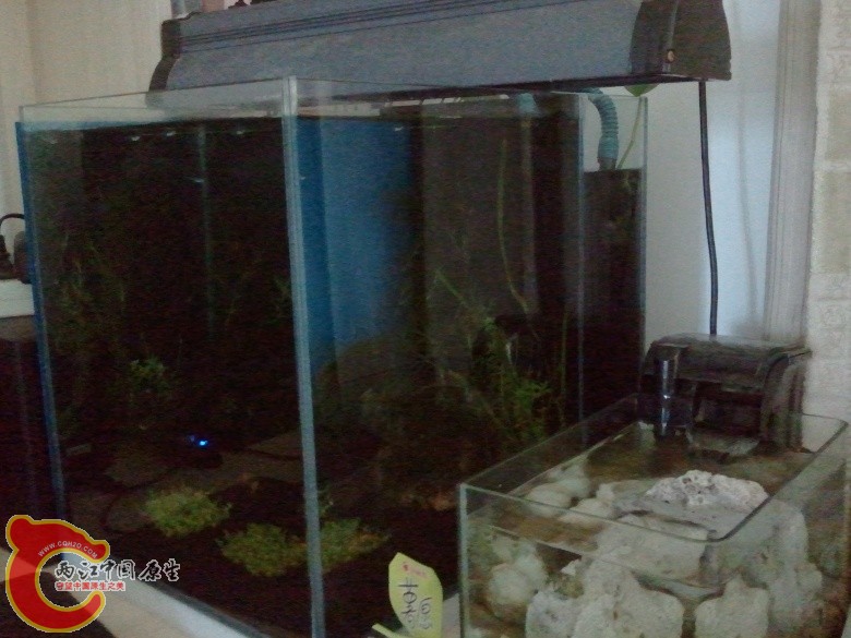 2011-04-16 11.16.43_副本.jpg