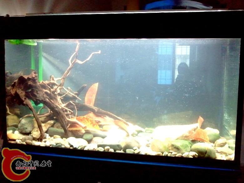 2011-04-17 16.57.58_副本.jpg