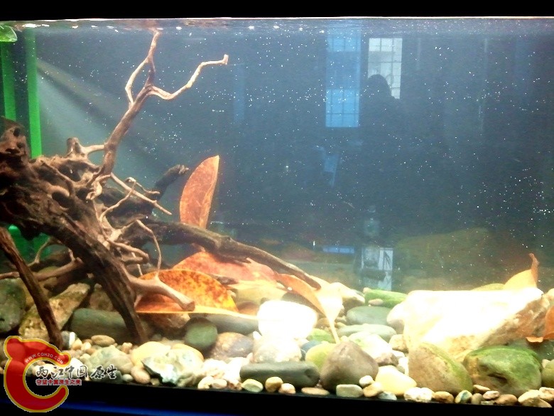 2011-04-17 16.58.43_副本.jpg