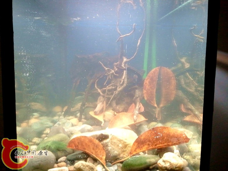 2011-04-17 16.58.51_副本.jpg