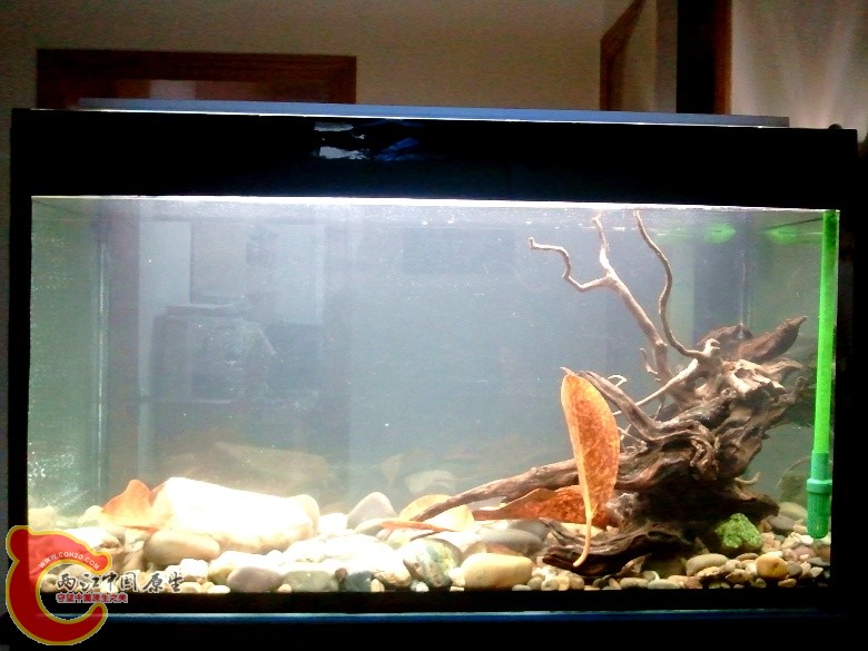 2011-04-17 16.59.02_副本.jpg