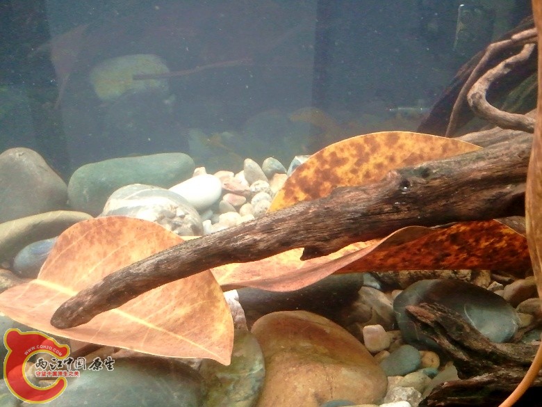 2011-04-17 16.59.12_副本.jpg