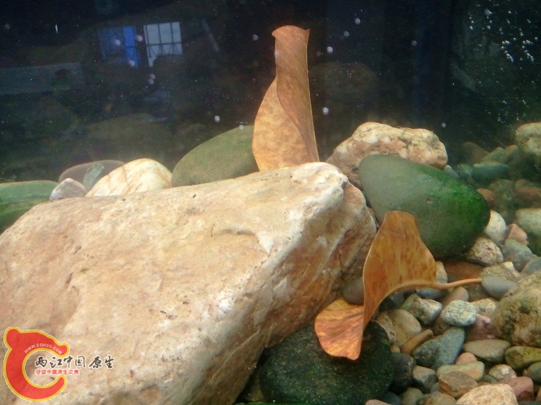 2011-04-17 16.59.18_副本.jpg