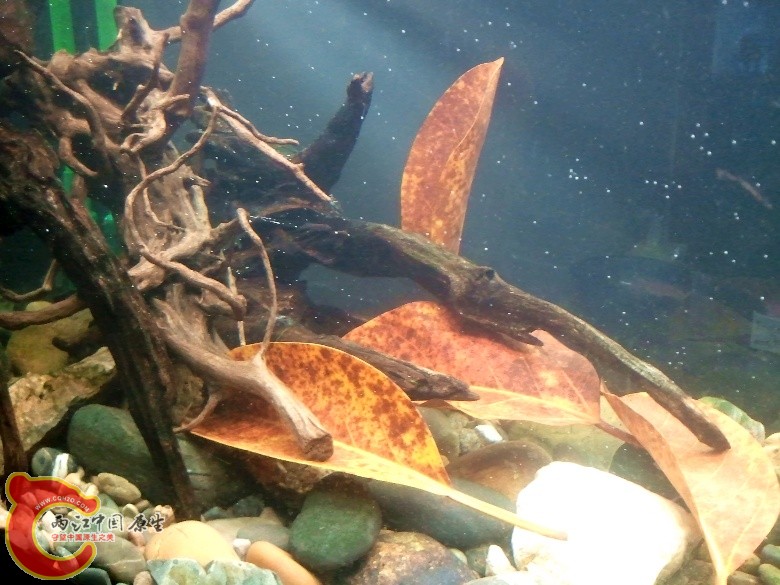 2011-04-17 16.59.24_副本.jpg