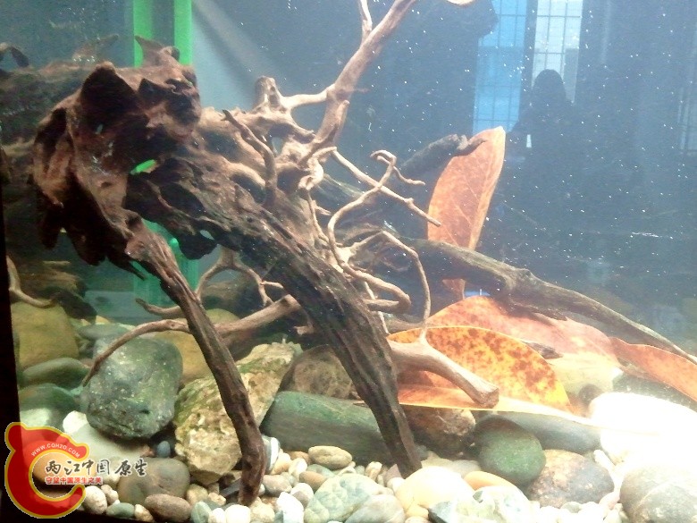 2011-04-17 16.59.30_副本.jpg