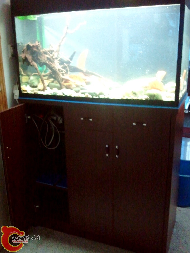 2011-04-17 17.08.33_副本.jpg