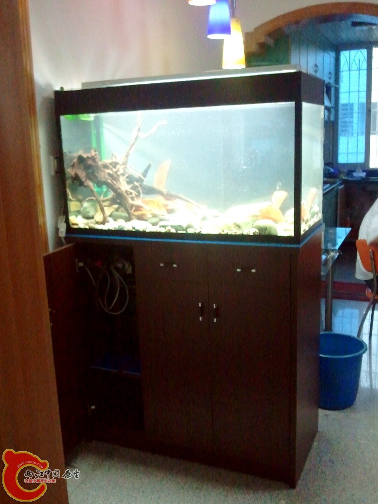 2011-04-17 17.08.44_副本.jpg