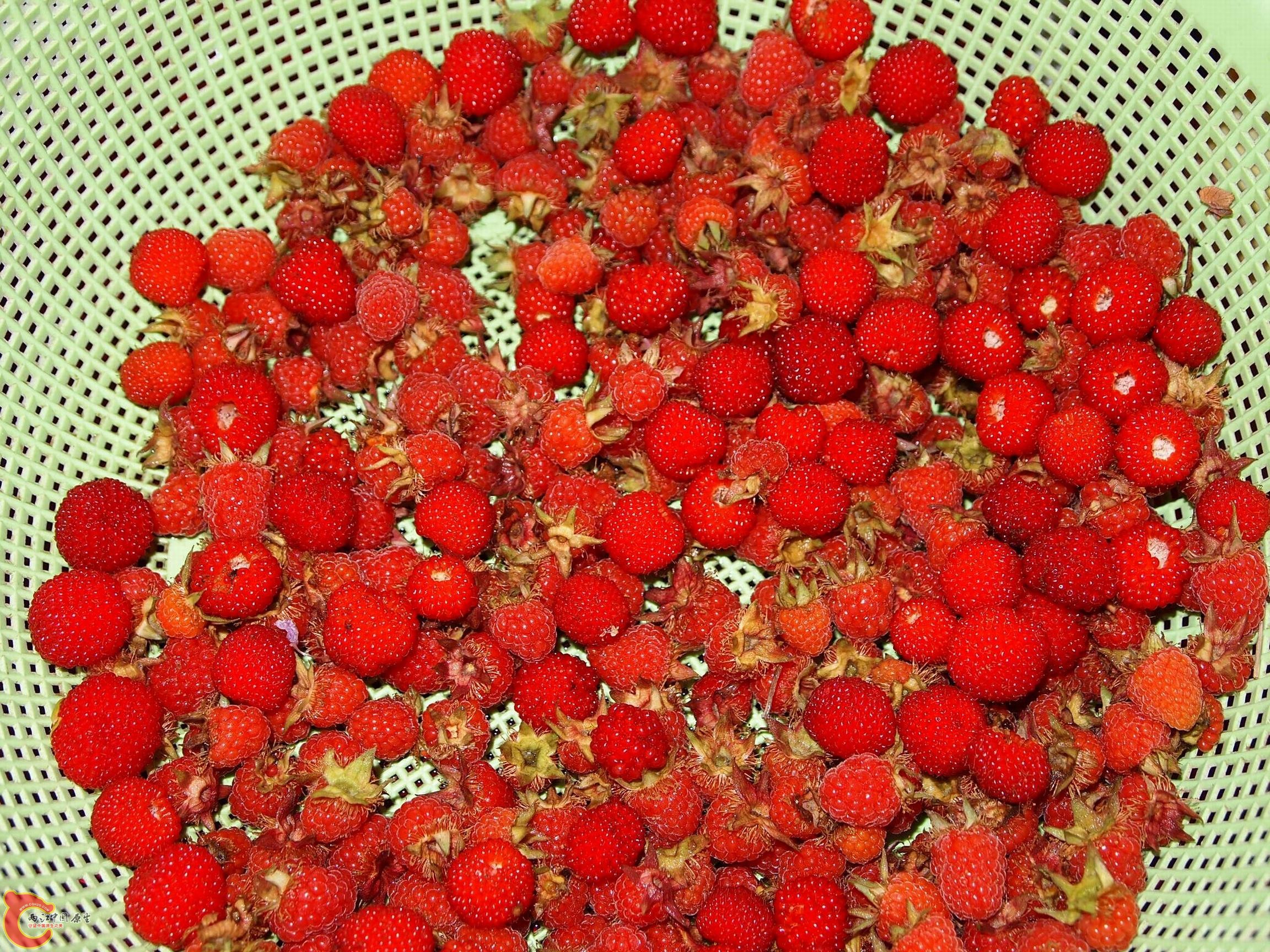 P41607671.jpg