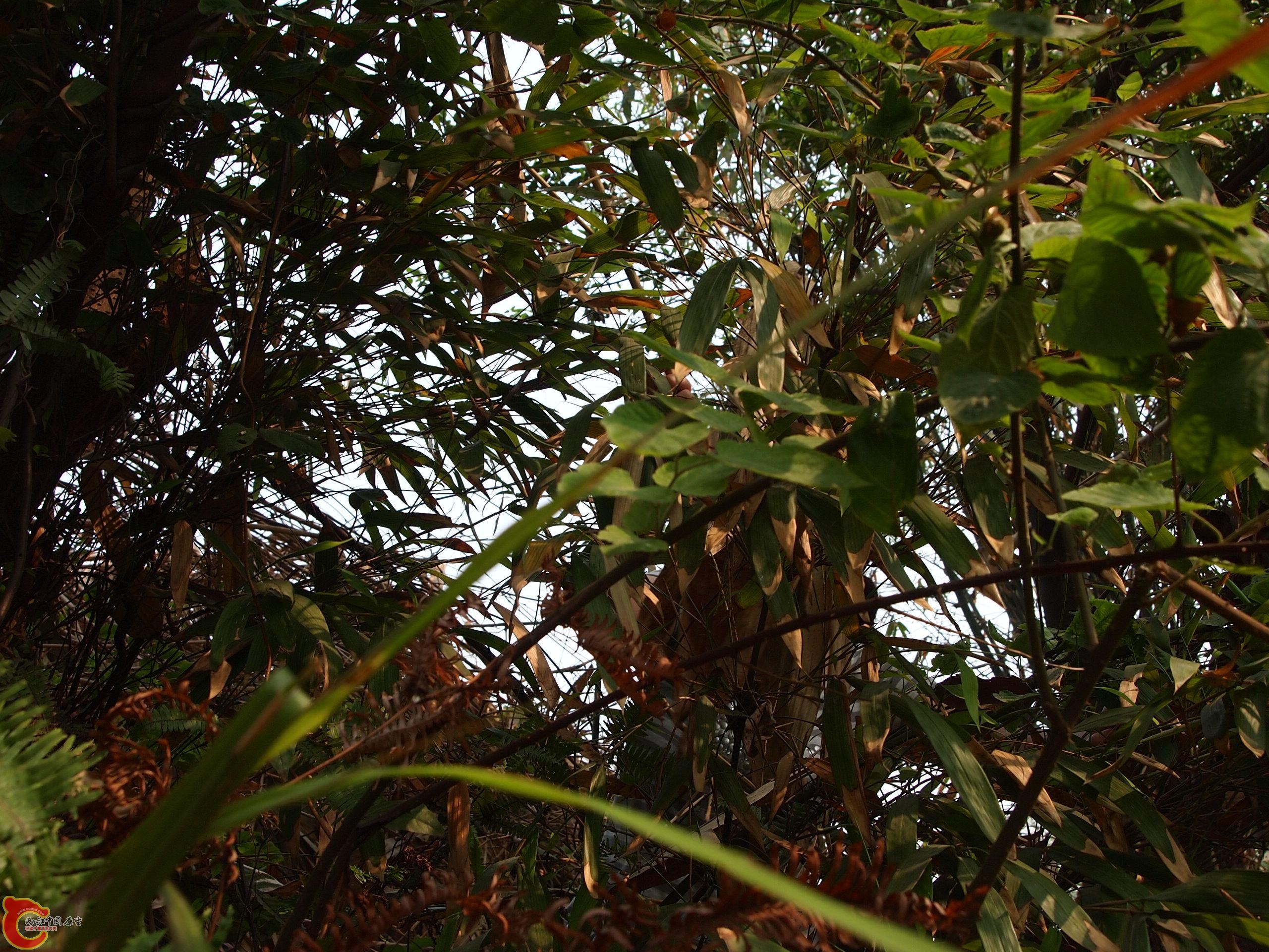 P4160712.JPG