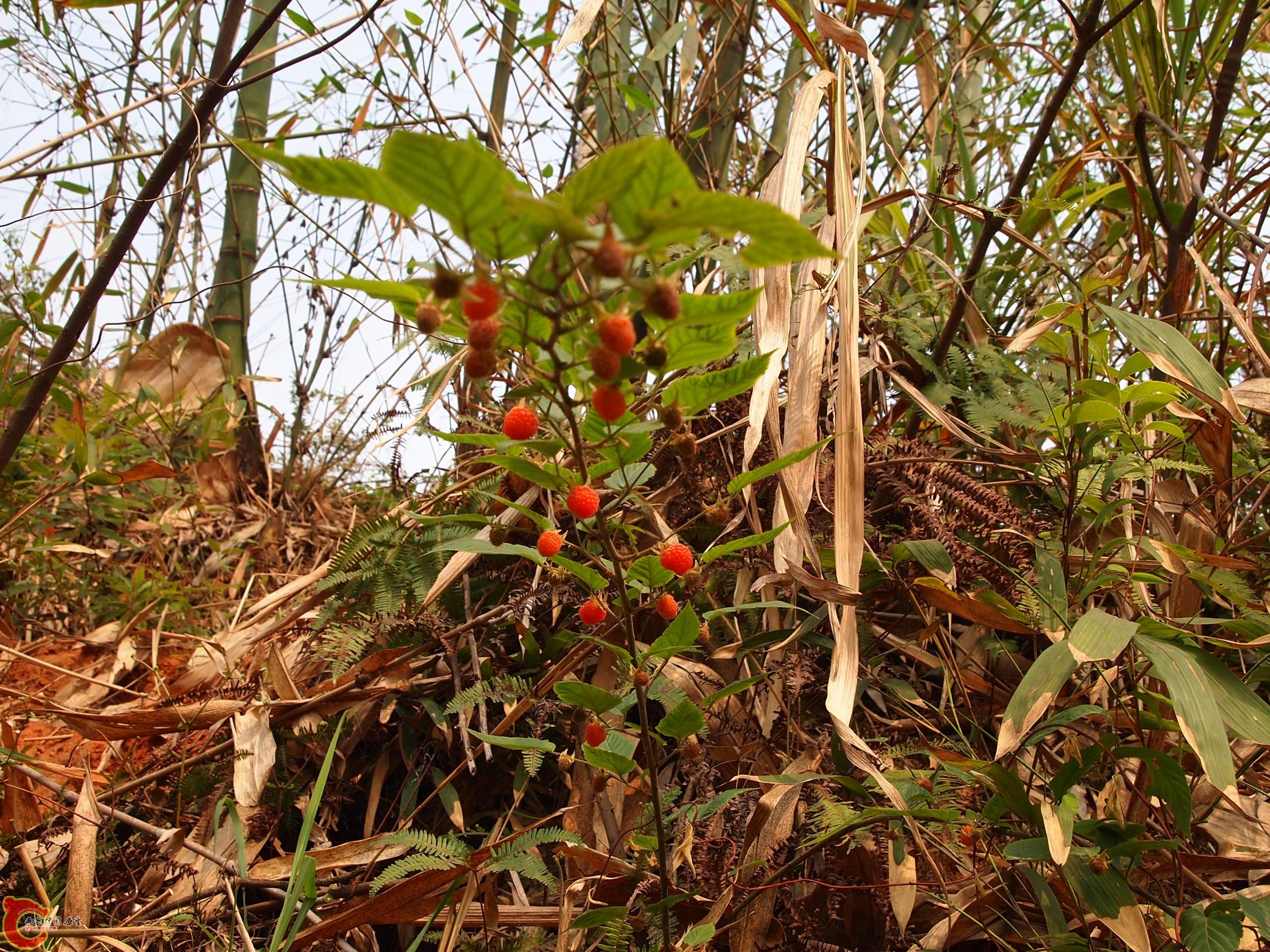 P4160716.JPG