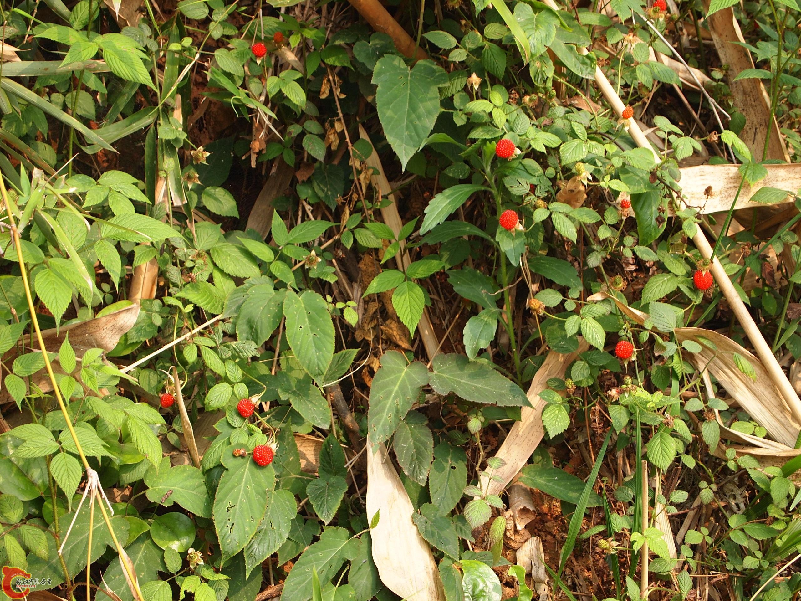 P4160721.JPG