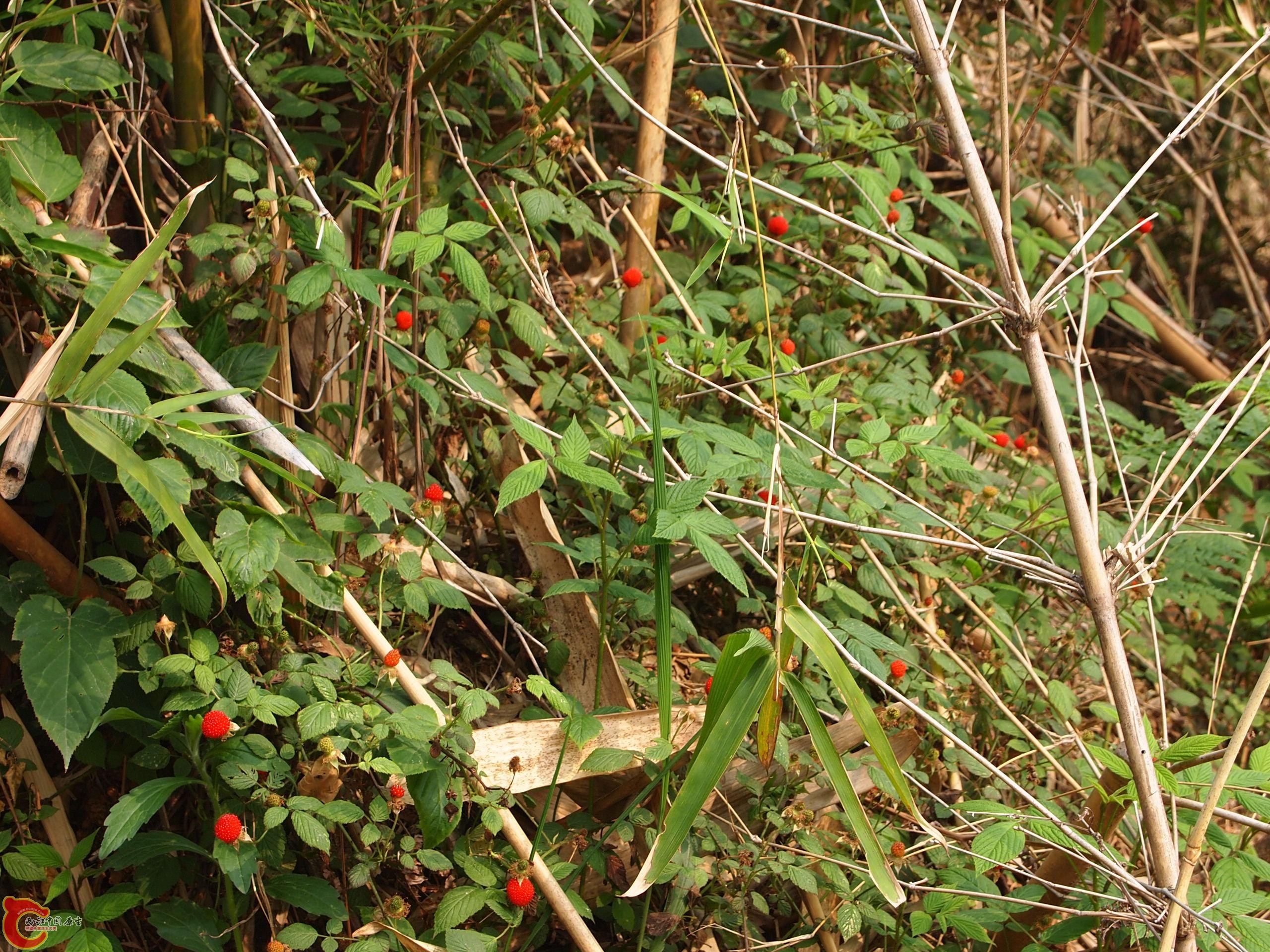 P4160723.JPG