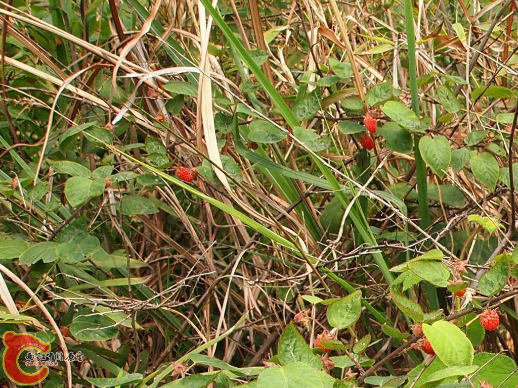 P4160733.JPG