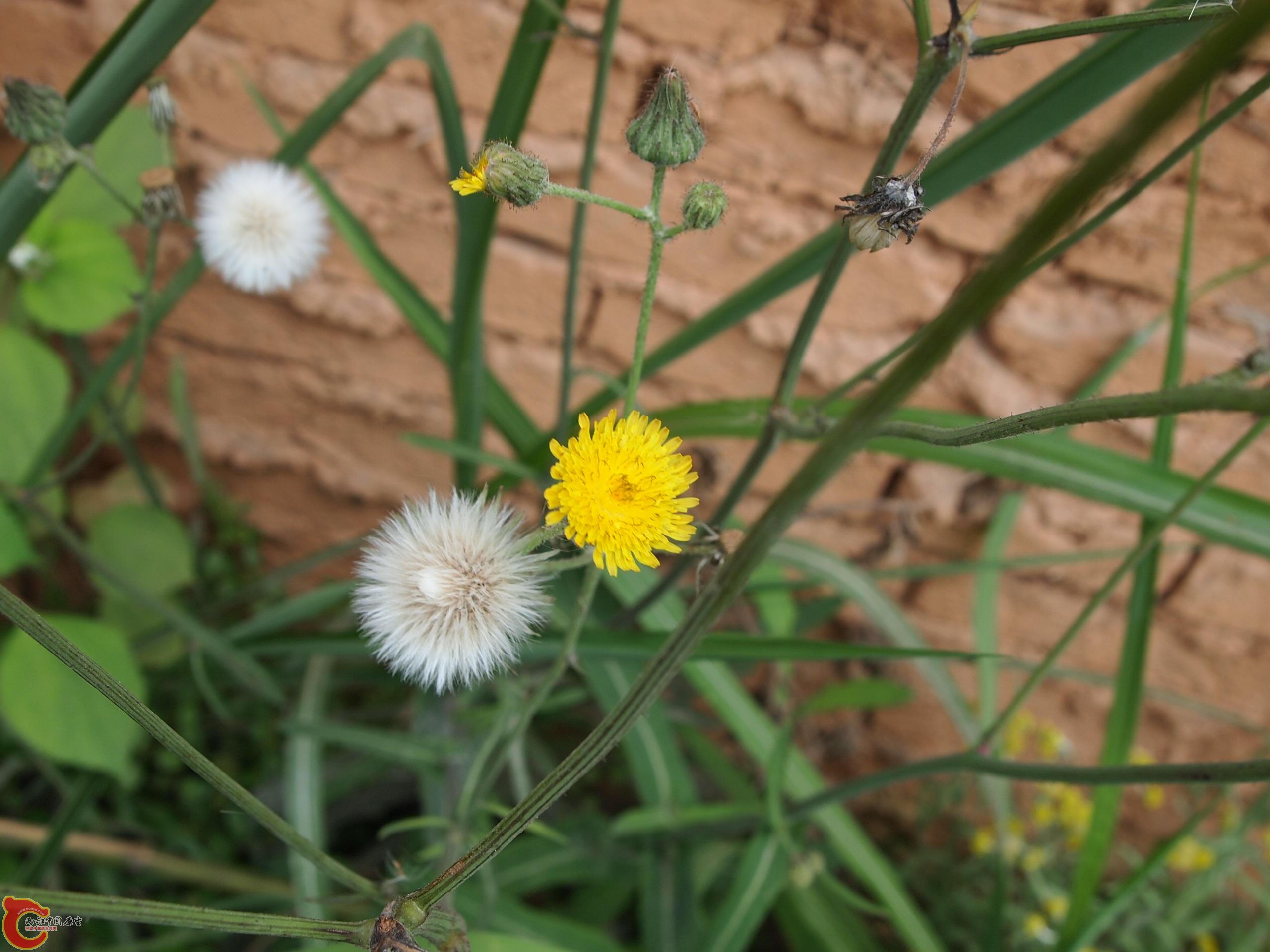 P4160748.JPG