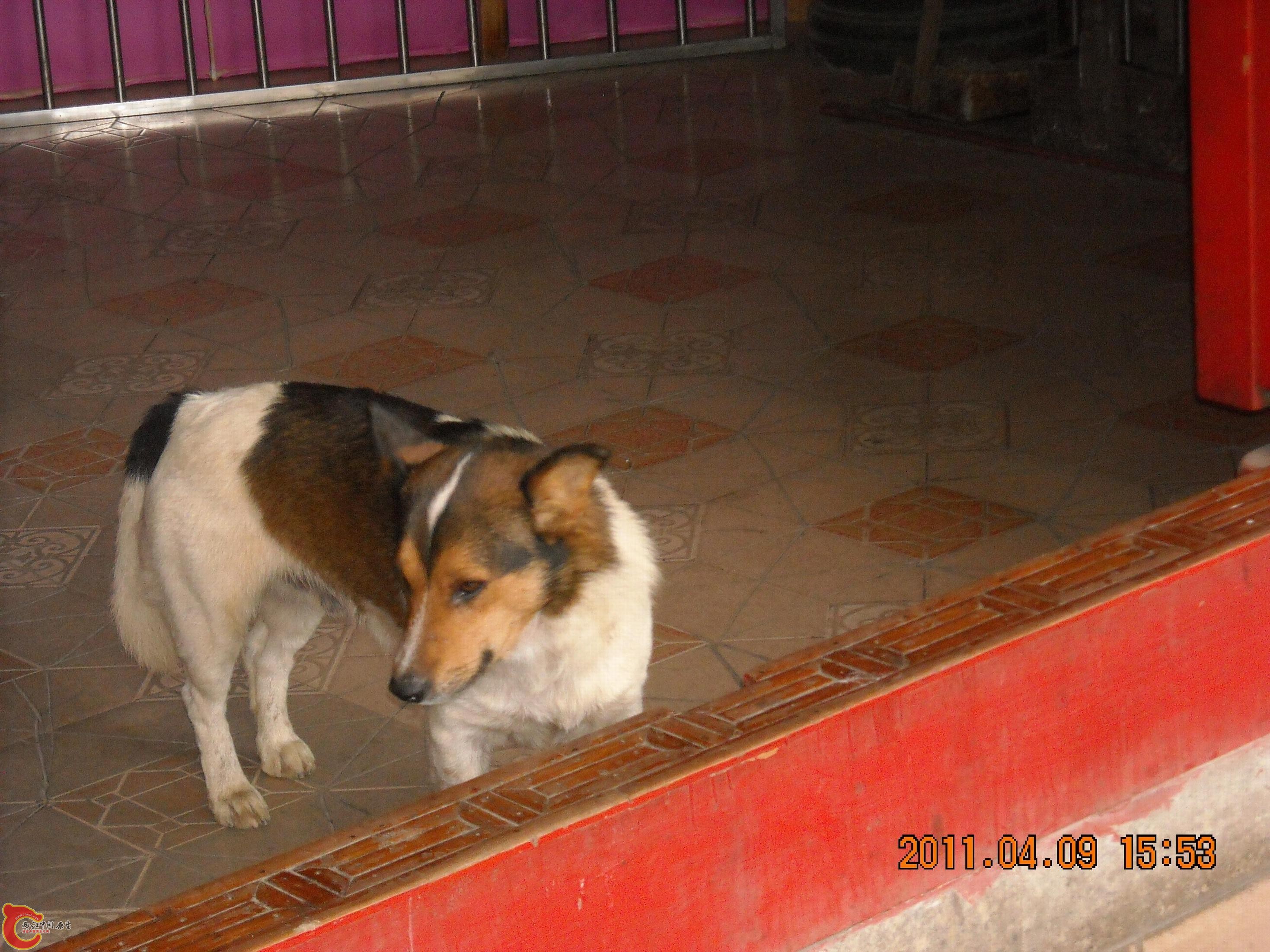 DSCN4837.JPG