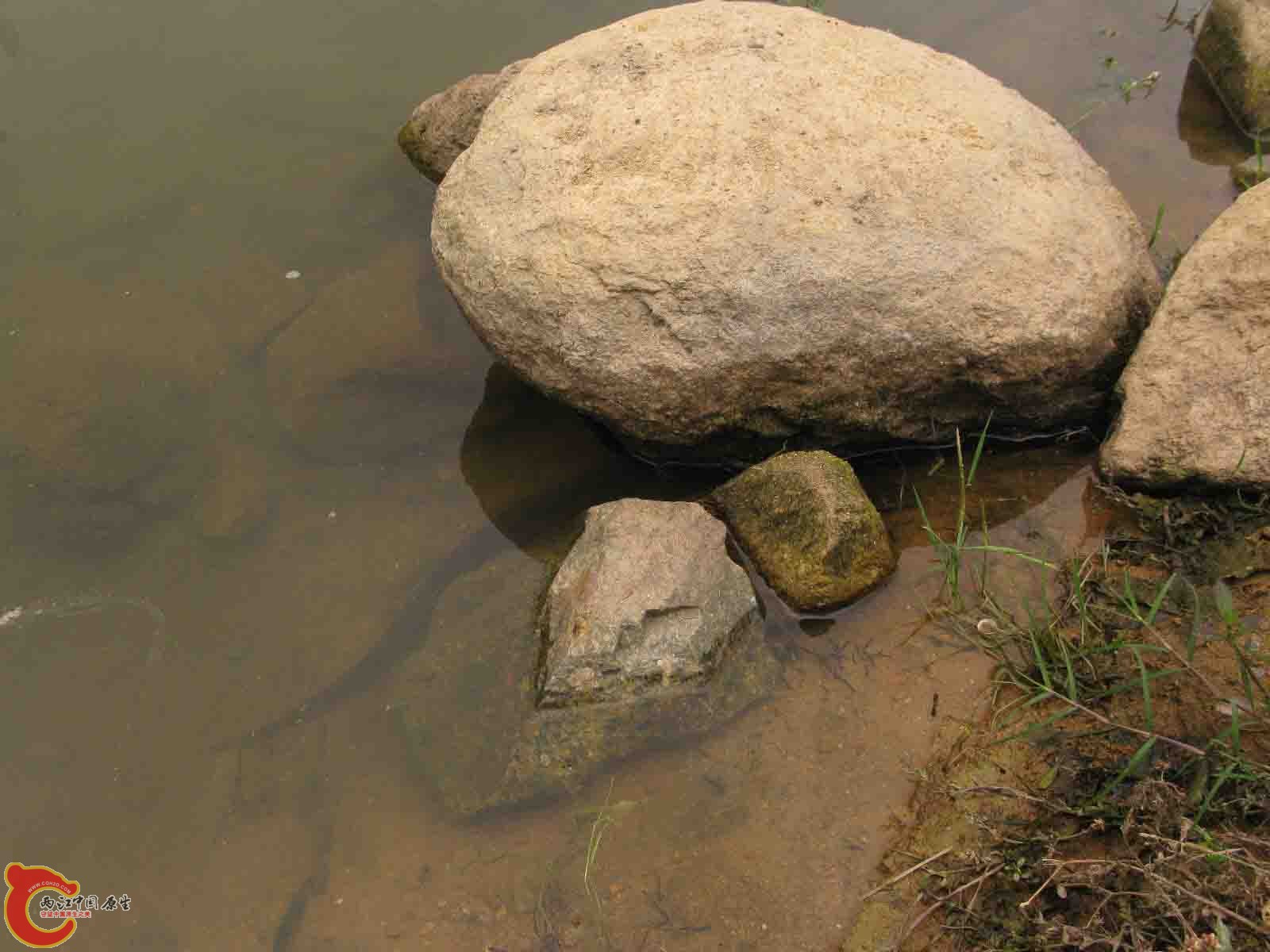 照片 7104.jpg