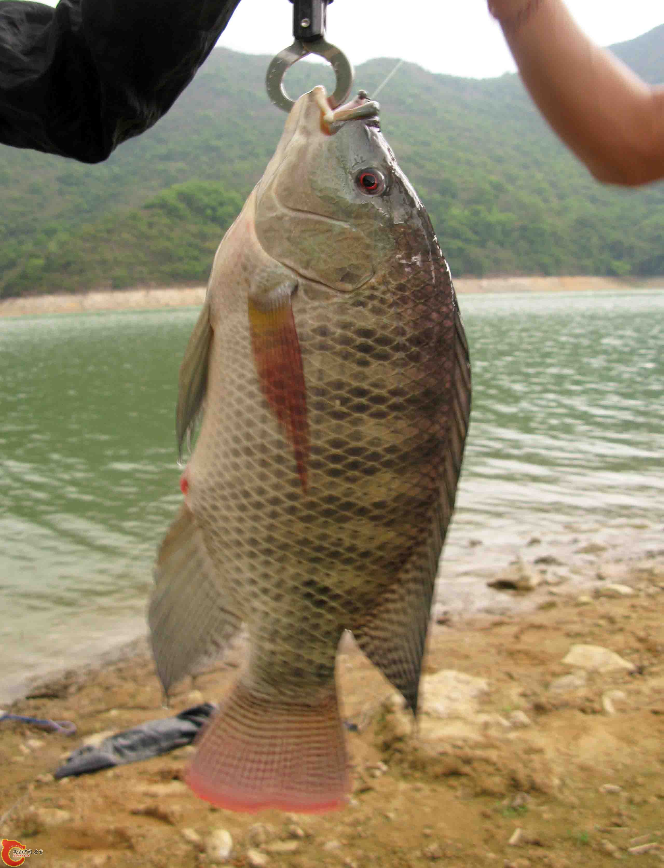 照片 7119.jpg