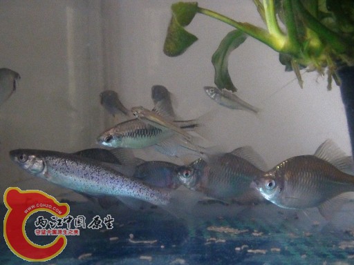 DSC00120.jpg