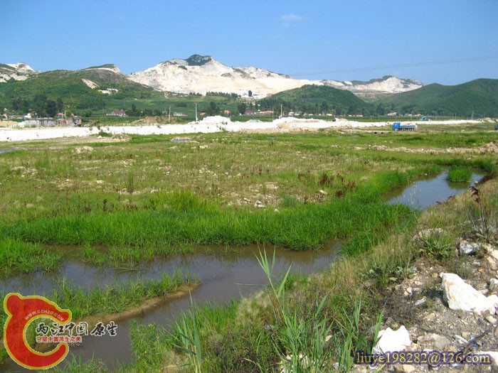 沼泽地