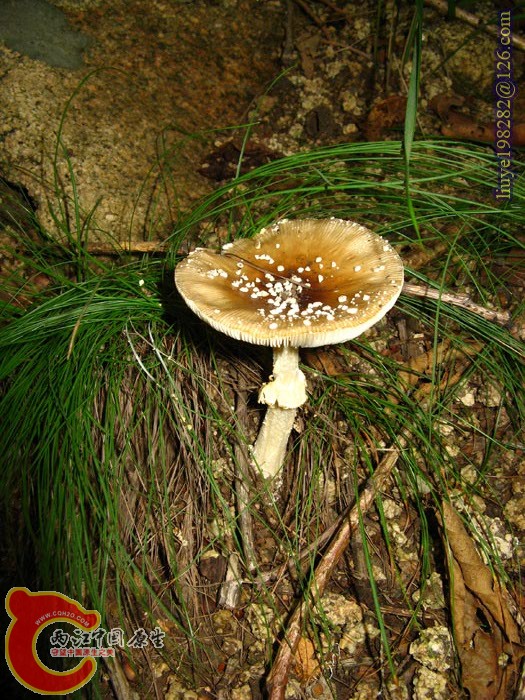 IMG_0968.jpg