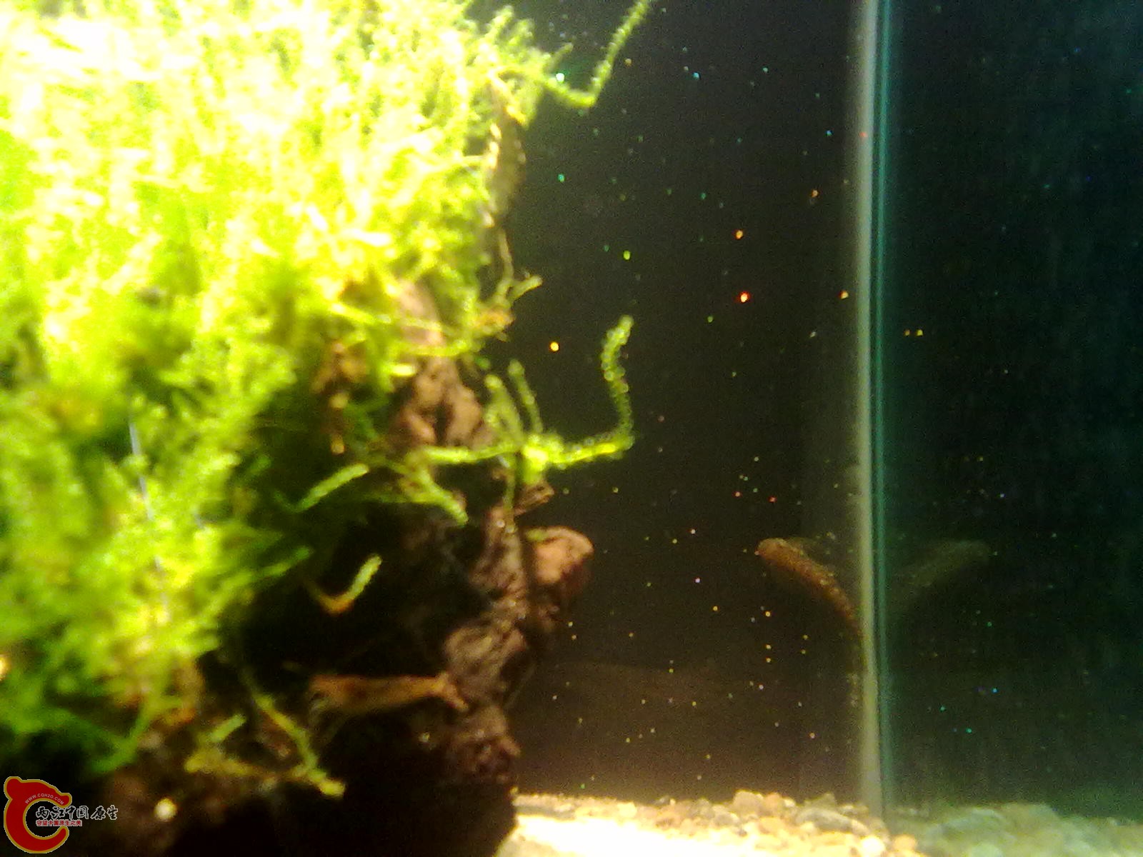 20110418266.jpg