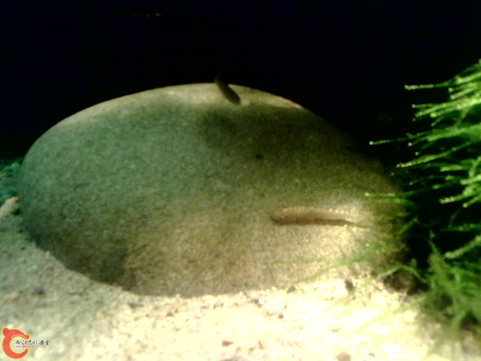 20110418322.jpg
