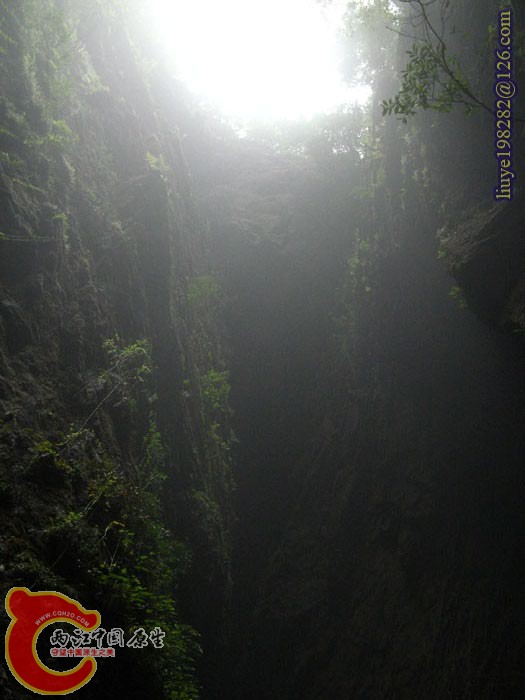 IMG_2530.jpg