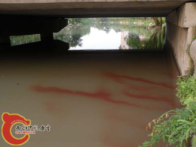 DSCN0204.JPG