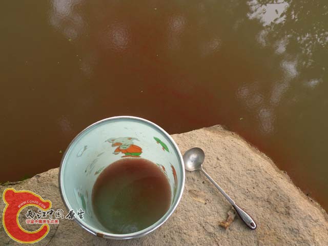 DSCN0187.JPG