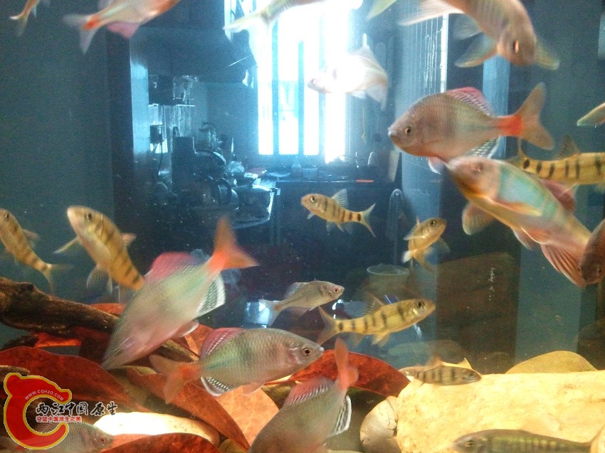 2011-04-23 12.56.35_副本.jpg