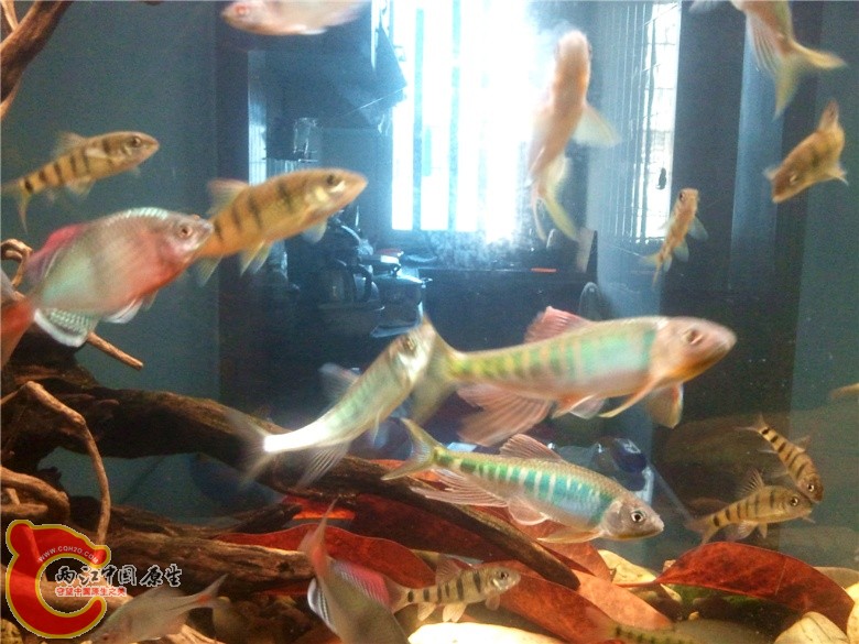 2011-04-23 12.56.40_副本.jpg