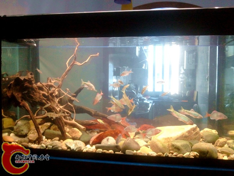 2011-04-23 12.56.56_副本.jpg