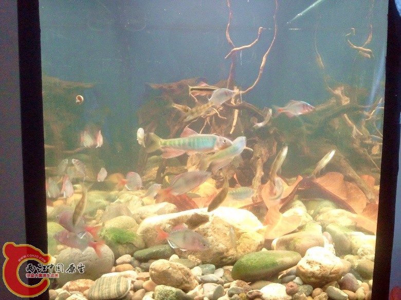 2011-04-23 12.57.17_副本.jpg