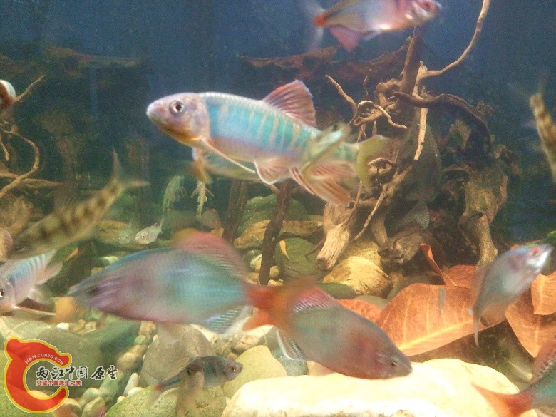 2011-04-23 12.57.23_副本.jpg