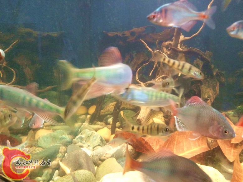 2011-04-23 12.57.30_副本.jpg