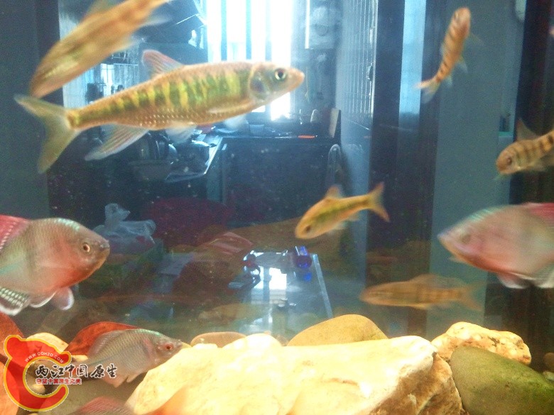 2011-04-23 12.57.40_副本.jpg