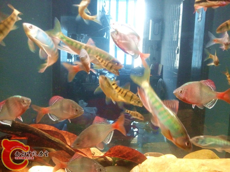 2011-04-23 12.57.47_副本.jpg