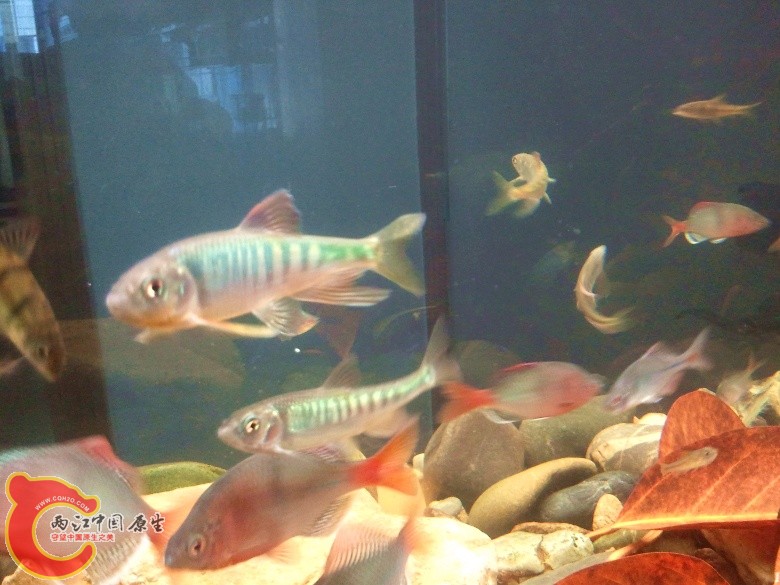 2011-04-23 12.58.29_副本.jpg