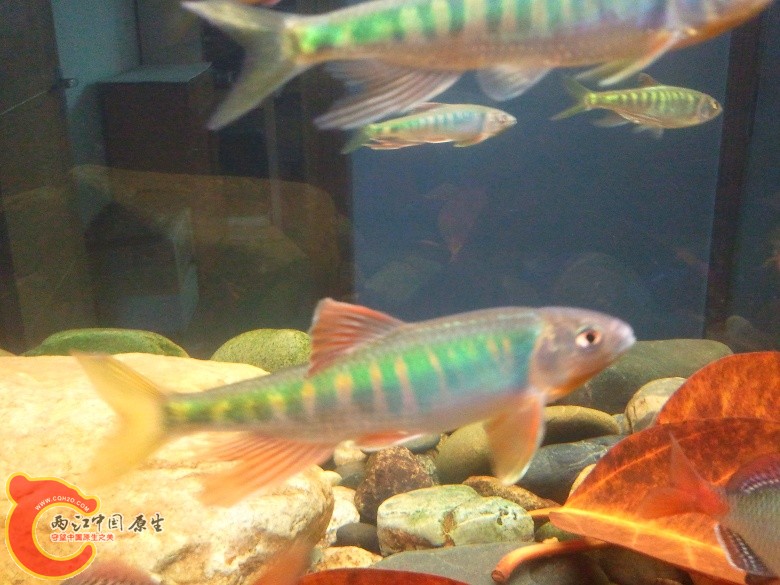 2011-04-23 12.58.51_副本.jpg