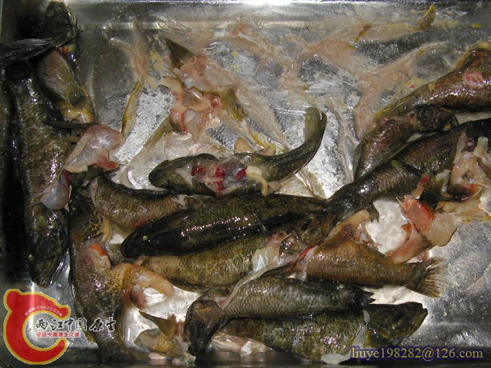 IMG (366).jpg